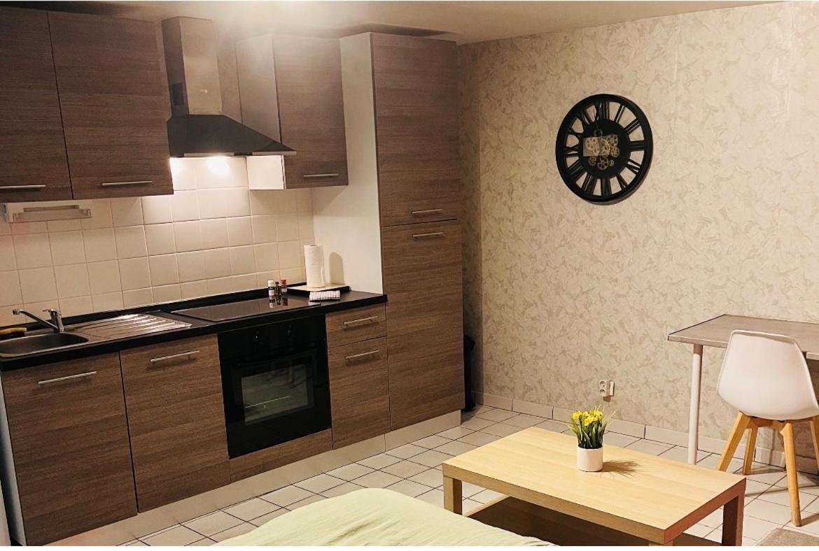 Appart Illy Cosy Et Confortable Saint-Etienne  Dış mekan fotoğraf
